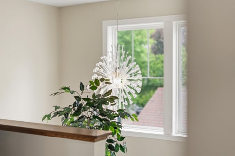 A bright chandelier hanging in a well-lit room with a green plant nearby and large windows framing a view of trees.