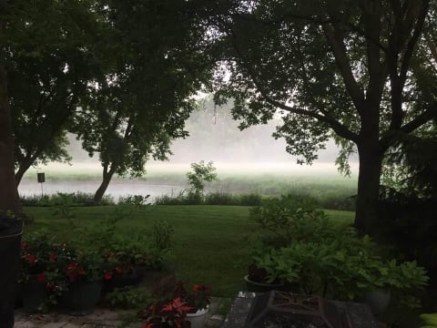 Misty landscape with water and lush trees, a peaceful outdoor setting.