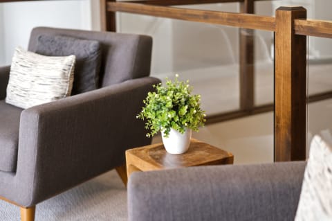 A cozy living room featuring gray armchairs and a small potted plant on a wooden side table.