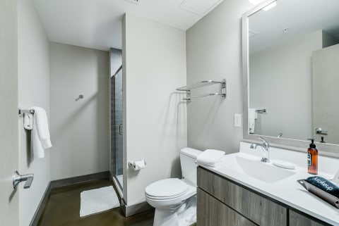 Modern bathroom featuring a shower, toilet, and stylish vanity with a mirror.