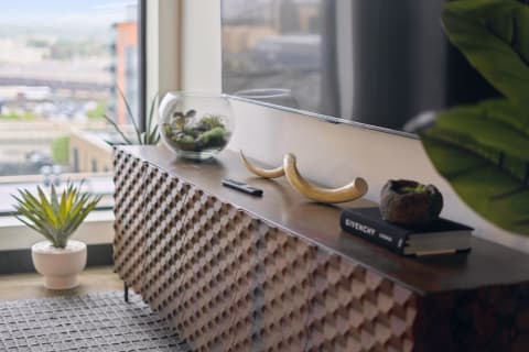 Stylish console table with plants and decor in a modern living room.